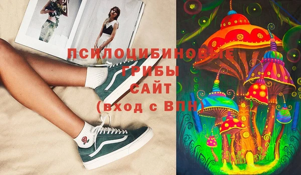 прущие грибы Алзамай