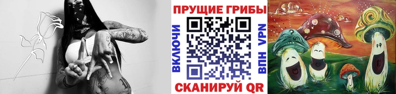 Галлюциногенные грибы GOLDEN TEACHER Лысьва